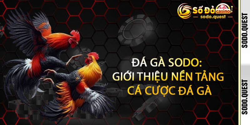 Đá Gà Sodo - cược đỉnh, thắng siêu tốc, thưởng nổ trời 2 Đá Gà Sodo: Giới thiệu nền tảng cá cược đá gà