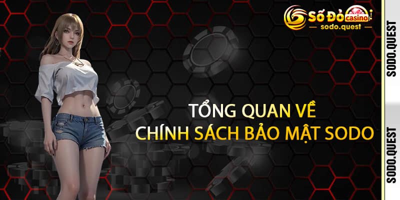 Chính Sách Bảo Mật Sodo - Cam kết bảo vệ tuyệt đối, trao bạn sự an tâm 1 Tổng Quan Về Chính Sách Bảo Mật Sodo Người Chơi Cần Biết