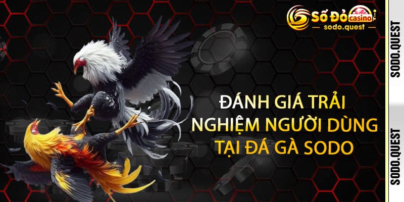 Đá Gà Sodo - cược đỉnh, thắng siêu tốc, thưởng nổ trời 3 Đánh giá trải nghiệm người dùng tại Đá Gà Sodo
