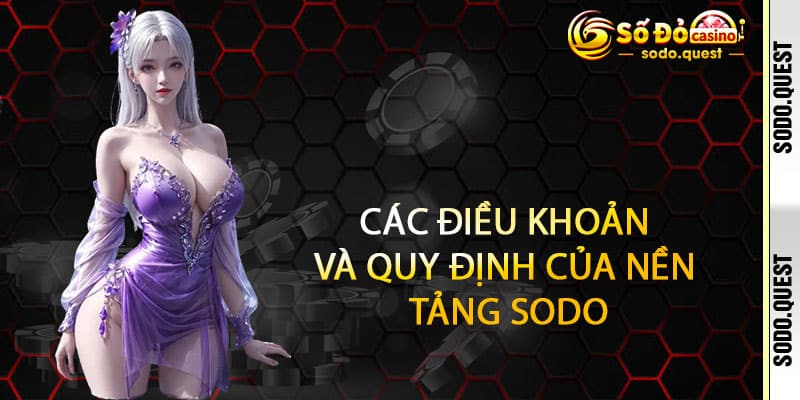 Điều Khoản Sodo - Rõ ràng từng điều, Vững bền hợp tác 2 Các Điều Khoản và Quy Định Của Nền Tảng Sodo